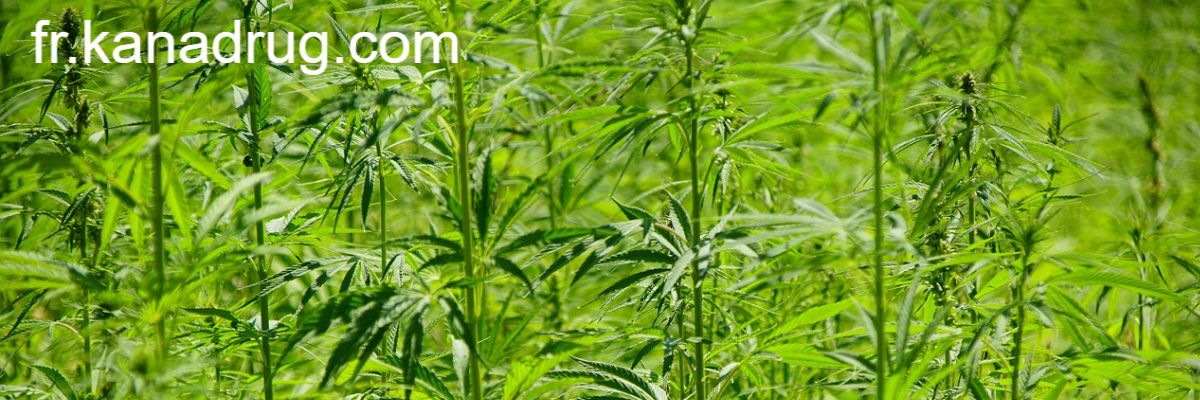 fr.kanadrug.com